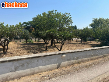 casa indipendente in vendita a Leporano