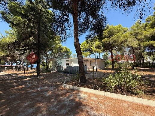 casa indipendente in vendita a Leporano
