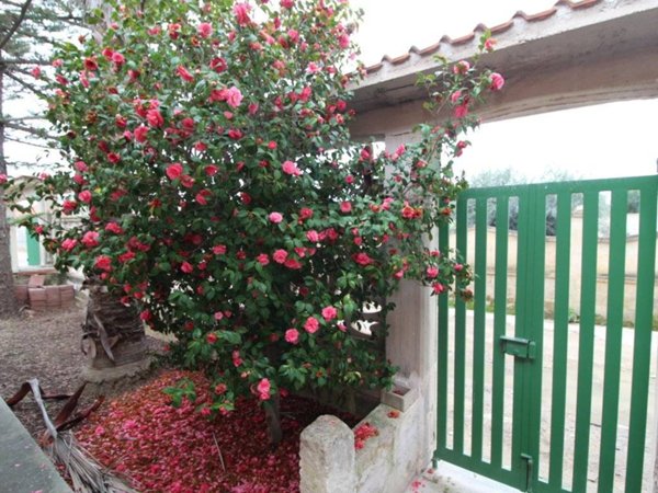 casa indipendente in vendita a Lizzano in zona Marina di Lizzano