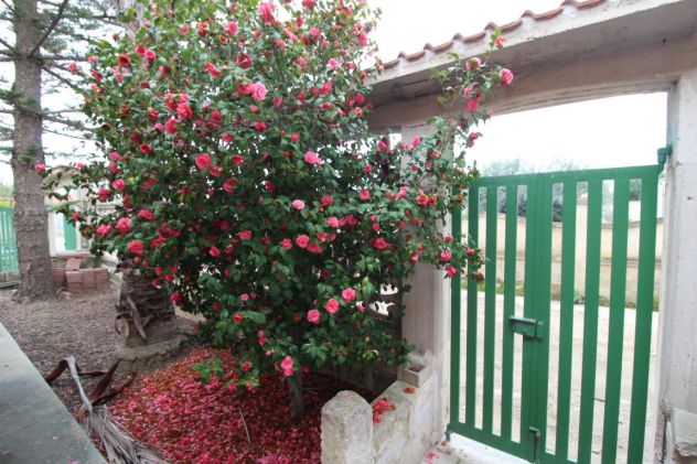 casa indipendente in vendita a Lizzano in zona Marina di Lizzano