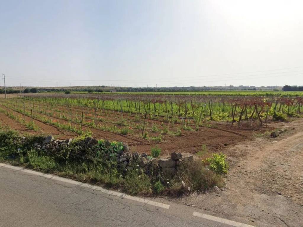 terreno agricolo in vendita a Lizzano