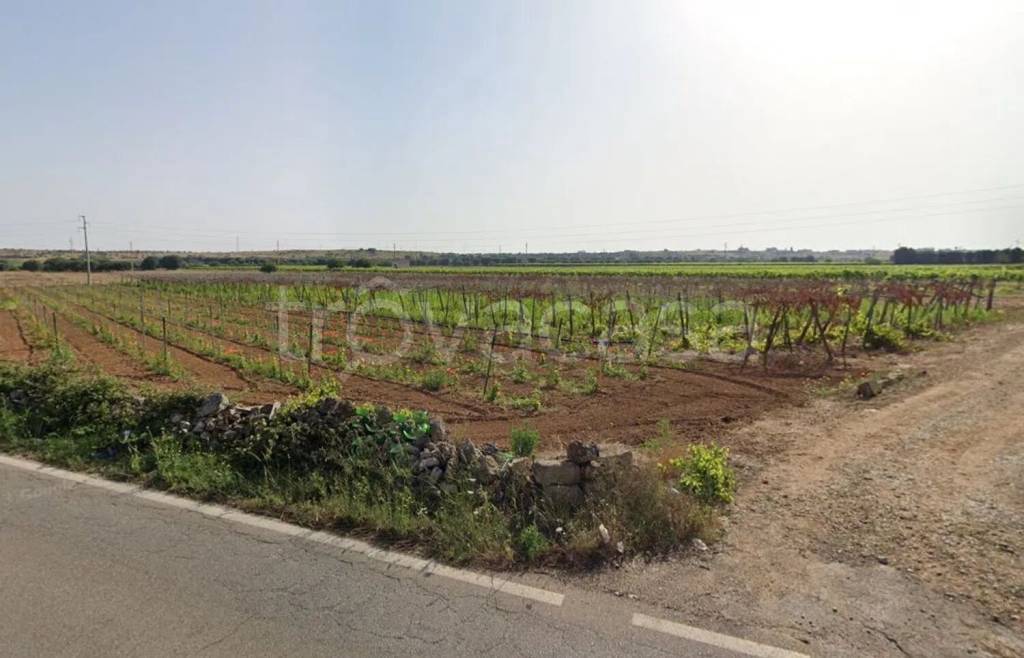 terreno agricolo in vendita a Lizzano
