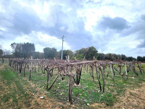 terreno agricolo in vendita a Lizzano