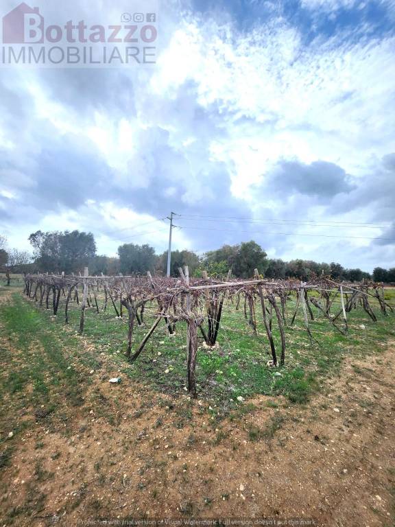 terreno agricolo in vendita a Lizzano