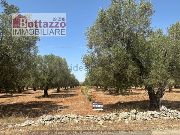 terreno agricolo in vendita a Lizzano