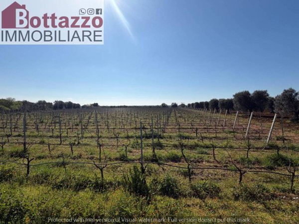 terreno agricolo in vendita a Lizzano