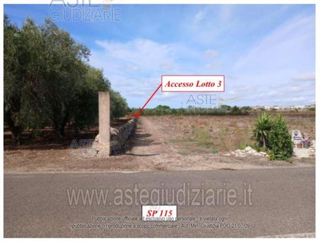 terreno agricolo in vendita a Lizzano