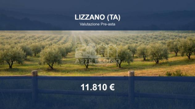 terreno agricolo in vendita a Lizzano