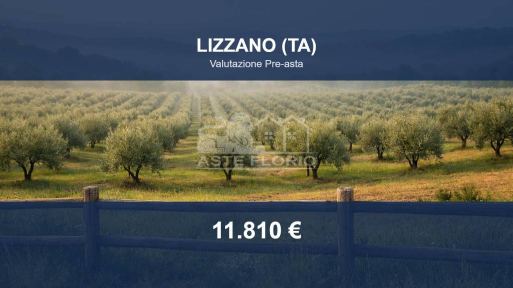 terreno agricolo in vendita a Lizzano
