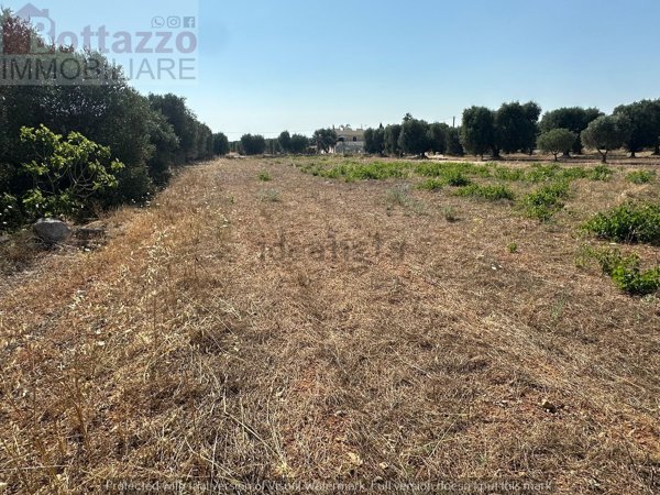 terreno in vendita a Lizzano