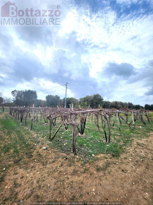 terreno in vendita a Lizzano
