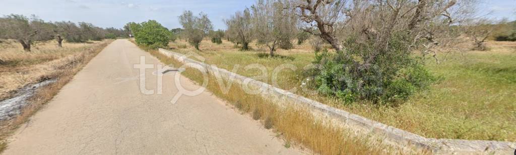 terreno agricolo in vendita a Manduria