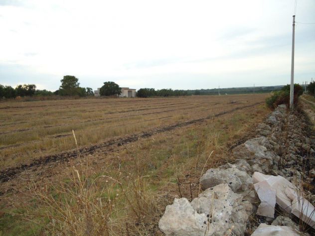 terreno agricolo in vendita a Manduria in zona San Pietro in Bevagna