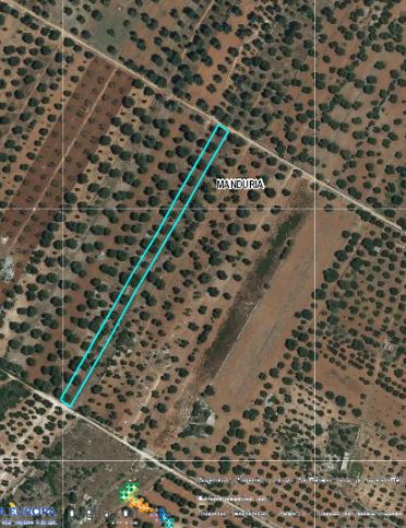 terreno agricolo in vendita a Manduria