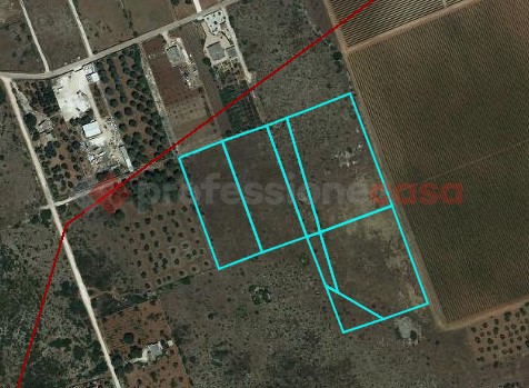 terreno agricolo in vendita a Manduria