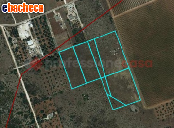 terreno agricolo in vendita a Manduria