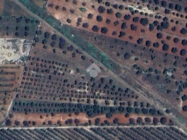 terreno agricolo in vendita a Manduria