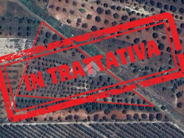 terreno agricolo in vendita a Manduria
