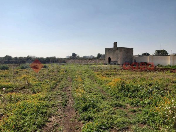 terreno agricolo in vendita a Manduria