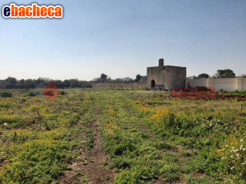 appartamento in vendita a Manduria