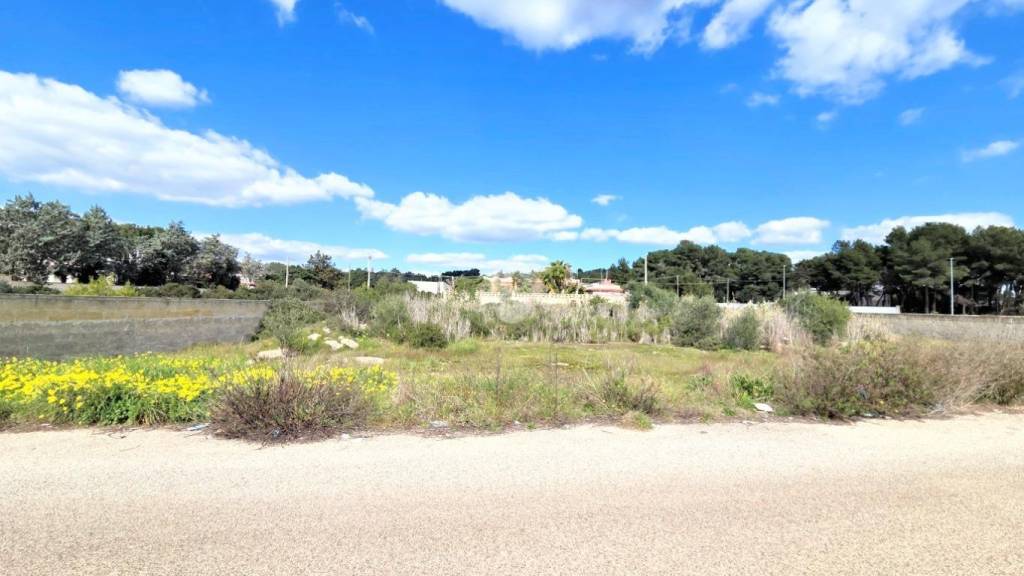terreno agricolo in vendita a Manduria in zona San Pietro in Bevagna