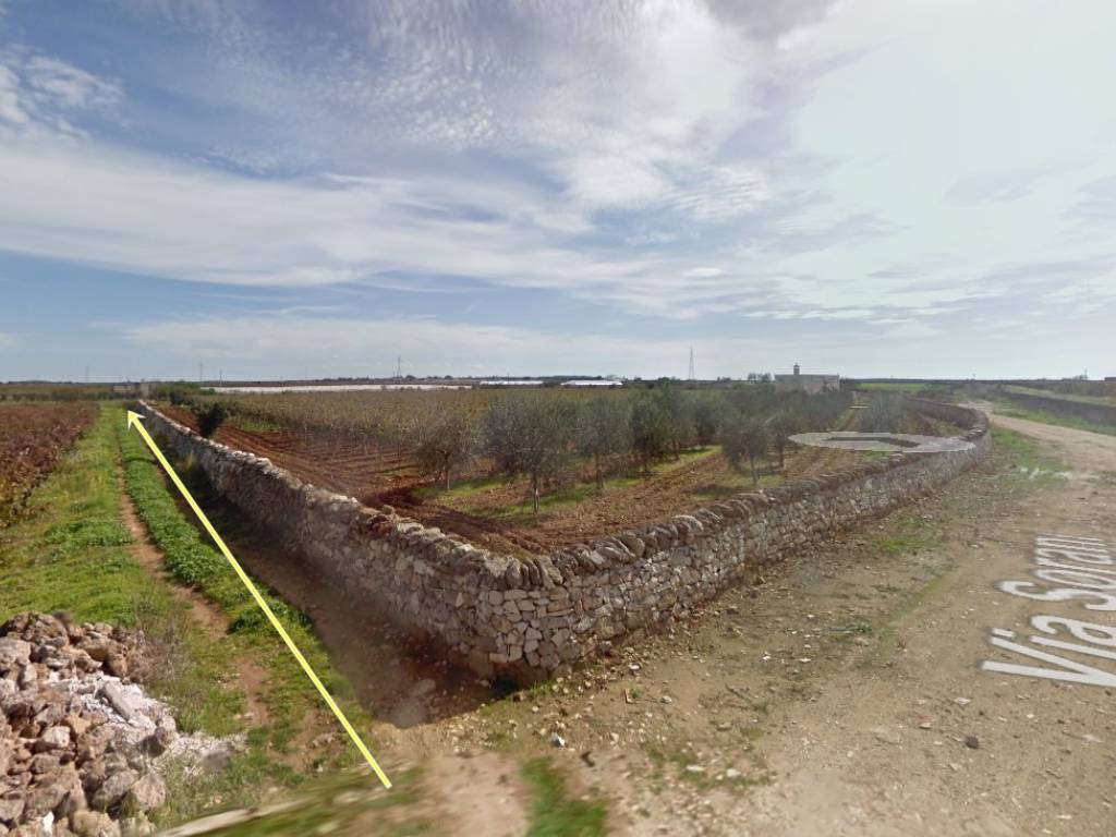 terreno agricolo in vendita a Manduria