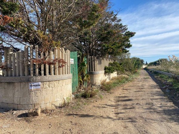 terreno agricolo in vendita a Manduria in zona San Pietro in Bevagna
