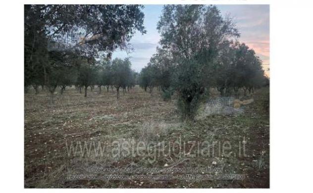 terreno edificabile in vendita a Manduria