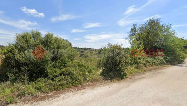 terreno agricolo in vendita a Manduria in zona San Pietro in Bevagna