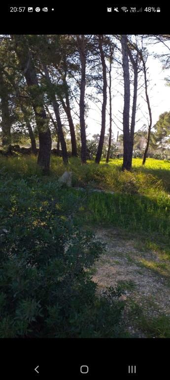 casa indipendente in vendita a Manduria