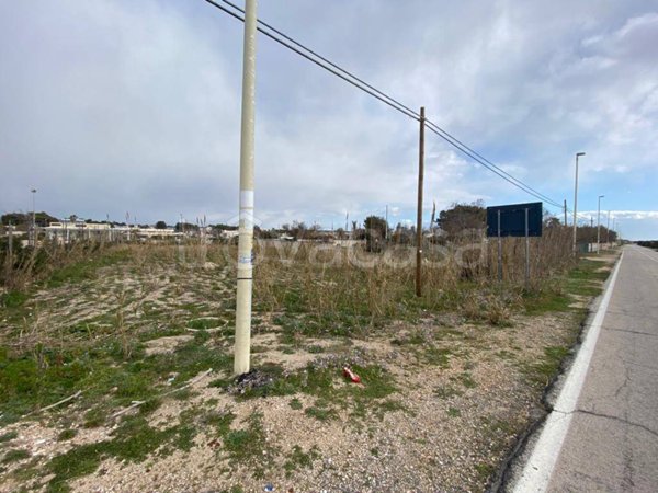 terreno agricolo in vendita a Manduria