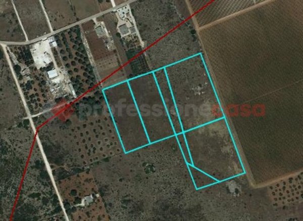 terreno agricolo in vendita a Manduria