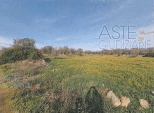 terreno edificabile in vendita a Manduria