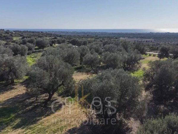 terreno agricolo in vendita a Manduria