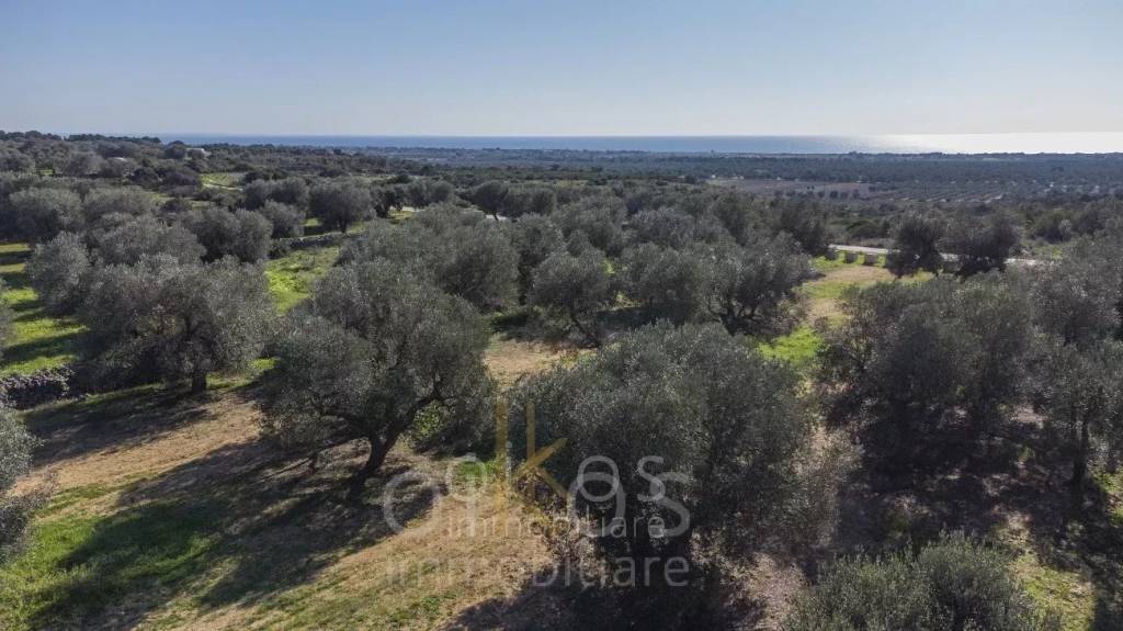 terreno agricolo in vendita a Manduria in zona San Pietro in Bevagna
