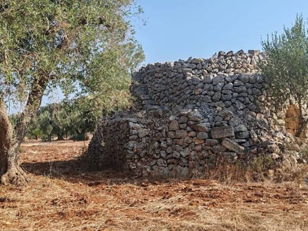 terreno agricolo in vendita a Manduria