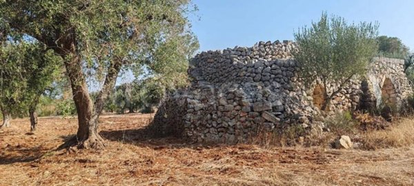 terreno agricolo in vendita a Manduria