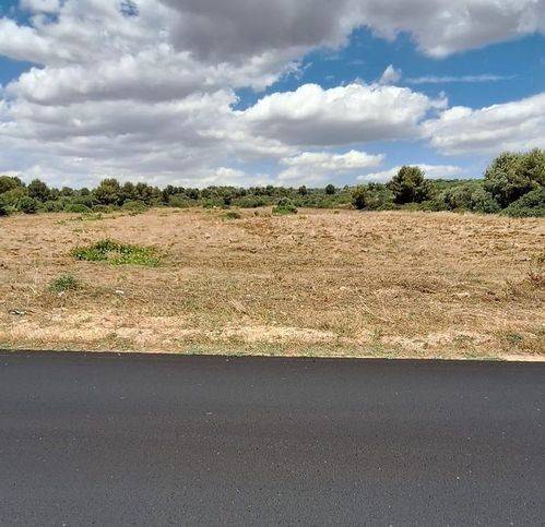 terreno agricolo in vendita a Manduria in zona San Pietro in Bevagna