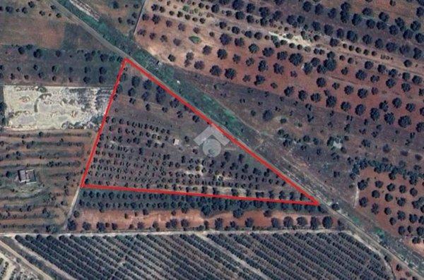 terreno agricolo in vendita a Manduria