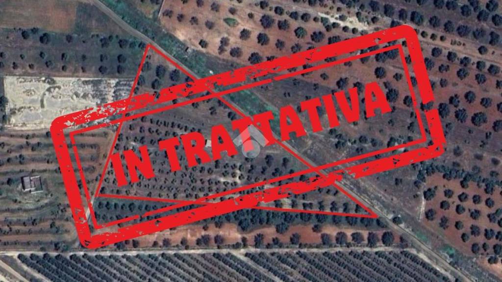 terreno agricolo in vendita a Manduria