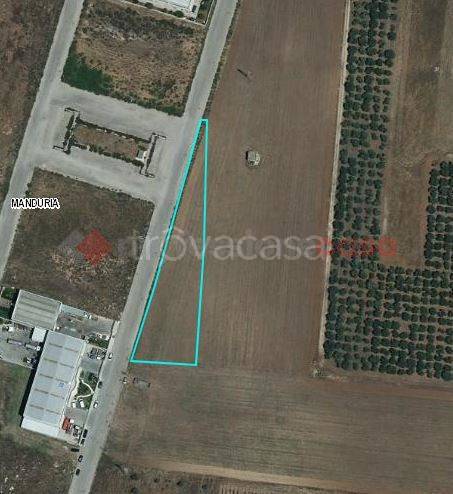 terreno agricolo in vendita a Manduria