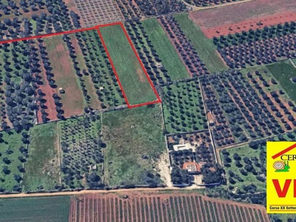 terreno agricolo in vendita a Manduria