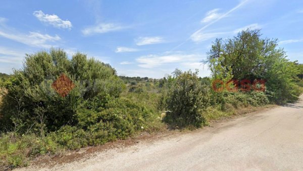 terreno agricolo in vendita a Manduria in zona San Pietro in Bevagna