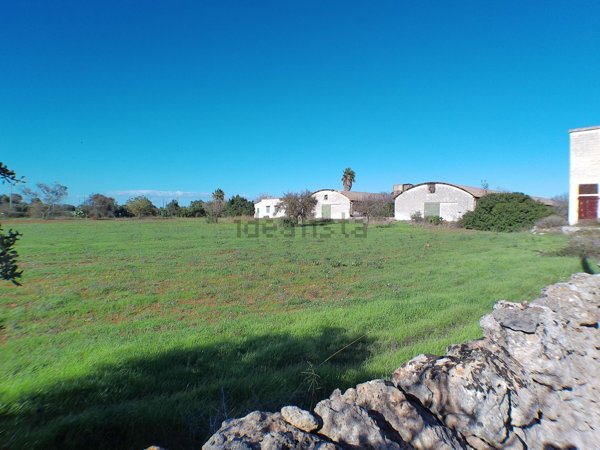 terreno agricolo in vendita a Manduria