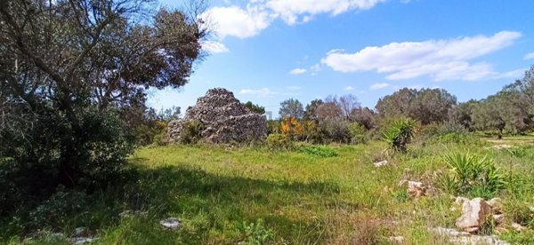 appartamento in vendita a Manduria