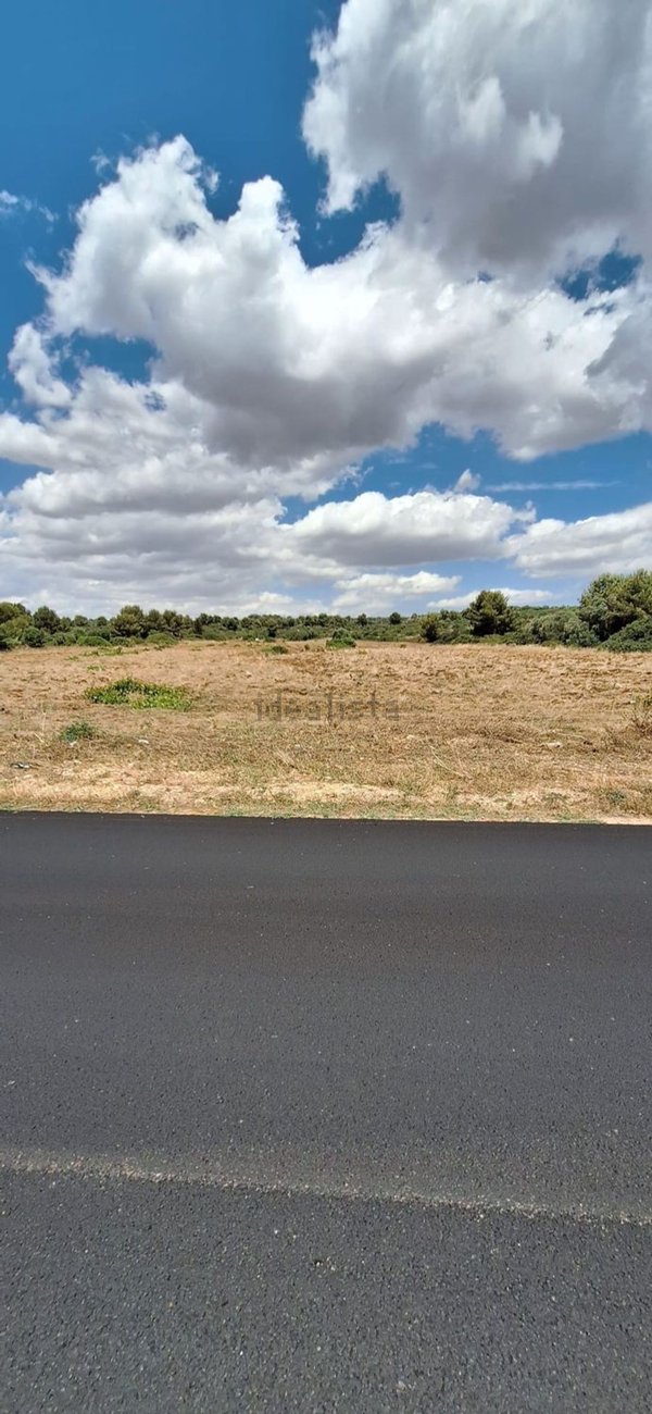 terreno agricolo in vendita a Manduria in zona San Pietro in Bevagna