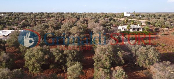 casa indipendente in vendita a Manduria