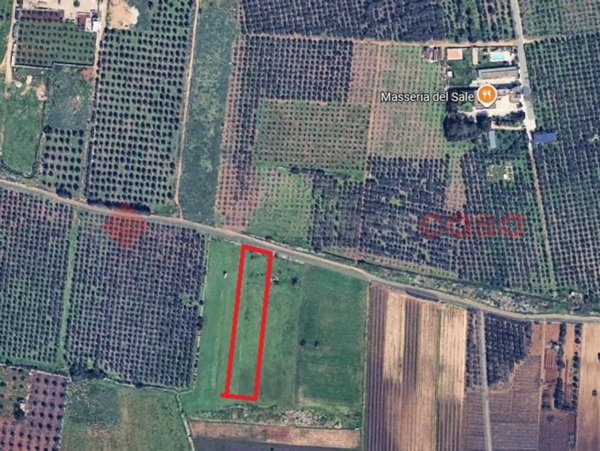 terreno agricolo in vendita a Manduria