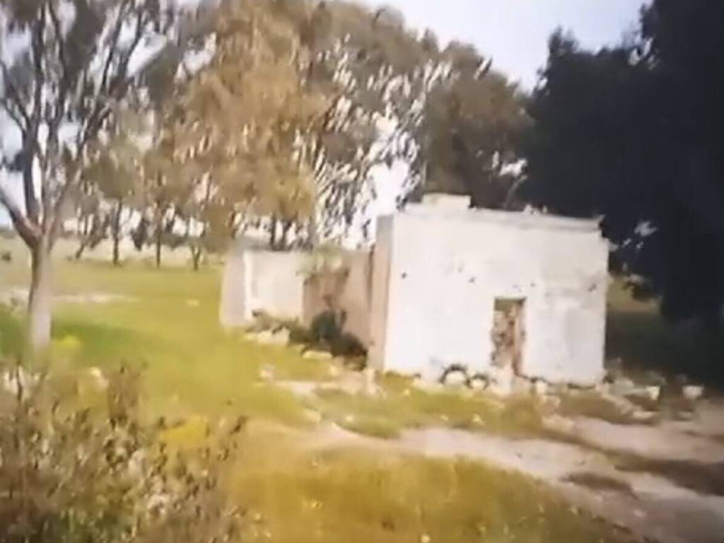 terreno agricolo in vendita a Manduria