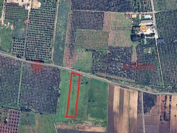 terreno agricolo in vendita a Manduria